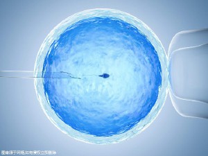 主任